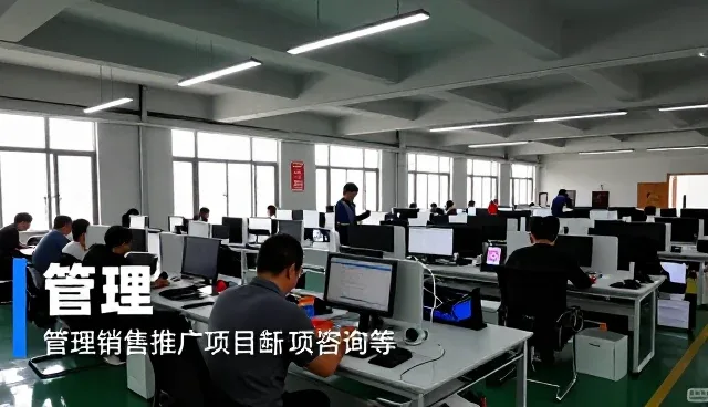 流程优化方案解决项目咨询等中的常见需求